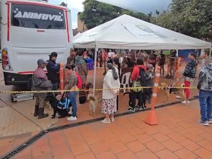 Esterilización gratis en Guatapé: cupos limitados y alta demanda